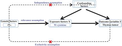 Identification of cytokines in benign and malignant thymus tumors: based on Mendelian randomization and proteomics